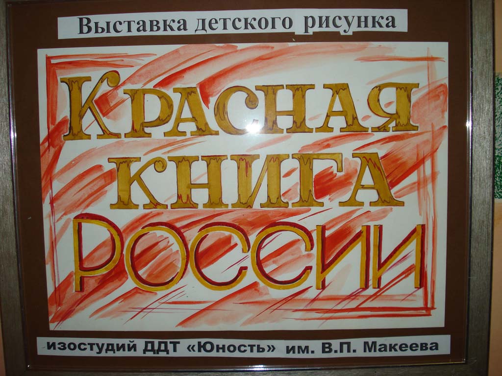 DSC04752