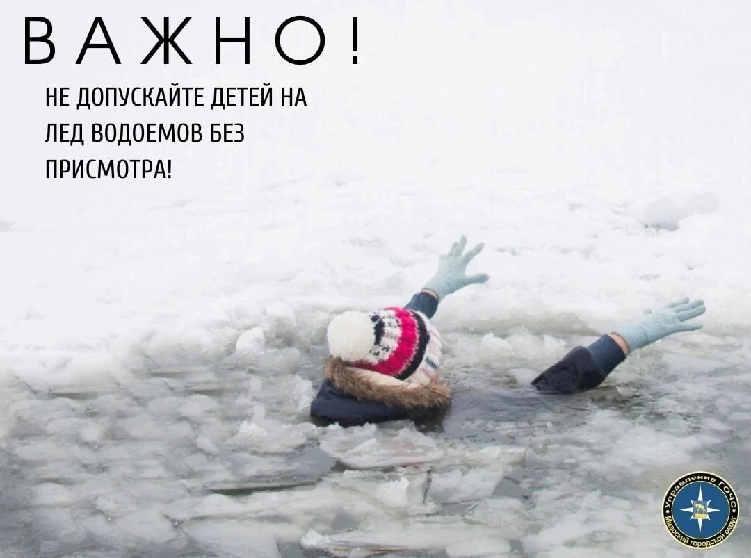 xjeZrJeEhp0